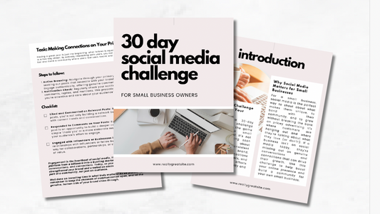 PLR Ebook Templates | PLR Ebook Templates| Canva Ebook Templates | PLR 30 Day Social Media Challenge