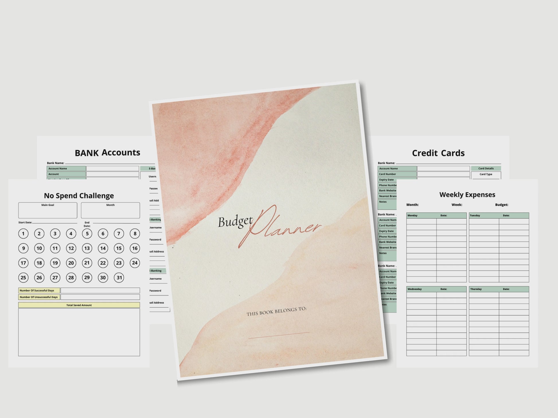 BUDGET PLANNER CANVA,
2025 BUDGET PLANNER CANVA,
PLR CANVA BUDGET PLANNER,